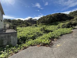 売土地（牧之原市細江）